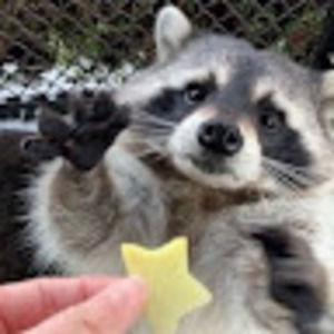 Meet your Posher, Lucas